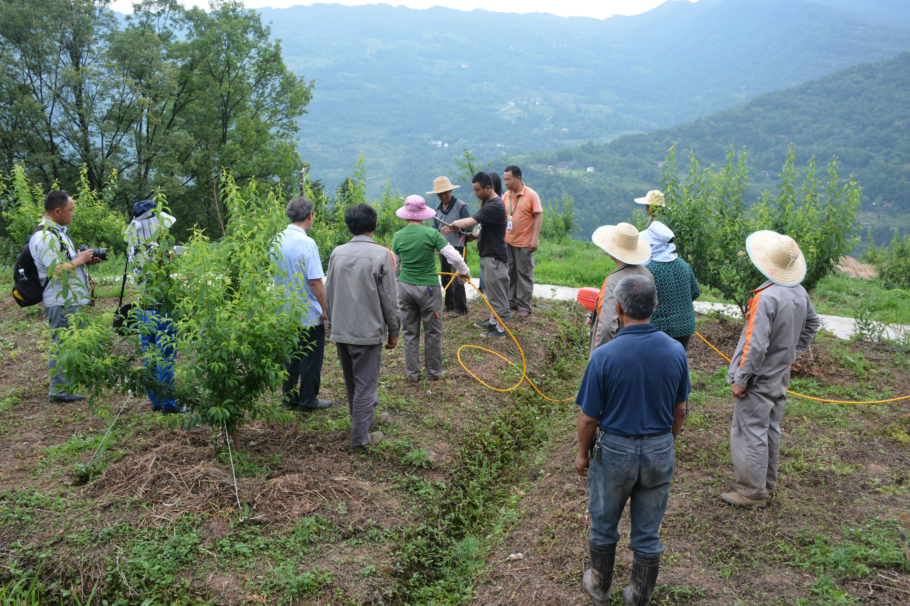 松柏生態(tài)農(nóng)業(yè)有機種植園區(qū)，各方面檢驗指標優(yōu)良